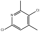 3,6-dichloro-2,4-dimethylpyridine Struktur