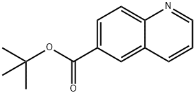 tert-butyl quinoline-6-carboxylate Struktur