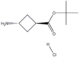 tert-butyl trans-3-aminocyclobutane-1-carboxylate hydrochloride Struktur