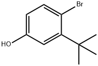 4-bromo-3-t-butylphenol Struktur