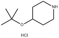 4-TERT-BUTOXYCYCLOHEXANAMINE Struktur