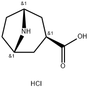 exo-8-Azabicyclo[3.2.1]octane-3-carboxylic acid hydrochloride Struktur