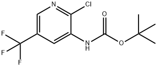 tert-butyl 2-chloro-5-(trifluoromethyl)pyridin-3-ylcarbamate Struktur