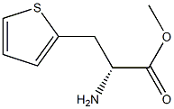 METHYL (2R)-2-AMINO-3-(THIOPHEN-2-YL)PROPANOATE Struktur