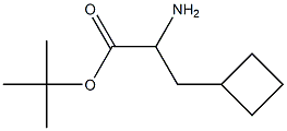 tert-butyl 2-amino-3-cyclobutylpropanoate Struktur