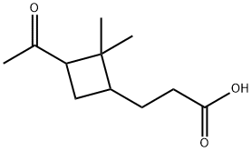 3-(3-acetyl-2,2-dimethylcyclobutyl)propanoic acid Struktur