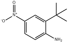 2-tert-butyl-4-nitrobenzenamine Struktur