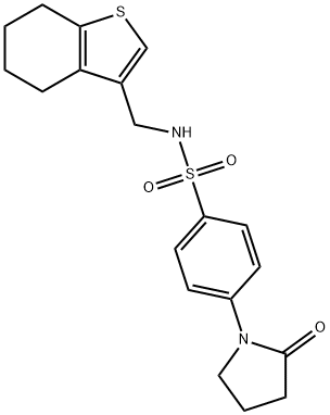 4-(2-oxo-1-pyrrolidinyl)-N-(4,5,6,7-tetrahydro-1-benzothien-3-ylmethyl)benzenesulfonamide Struktur