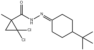 N'-(4-(tert-butyl)cyclohexylidene)-2,2-dichloro-1-methylcyclopropanecarbohydrazide Struktur