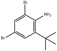 2,4-Dibromo-6-tert-butyl-phenylamine Struktur