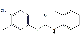 4-CHLORO-3,5-DIMETHYLPHENYL N-(2,6-XYLYL)CARBAMATE Struktur