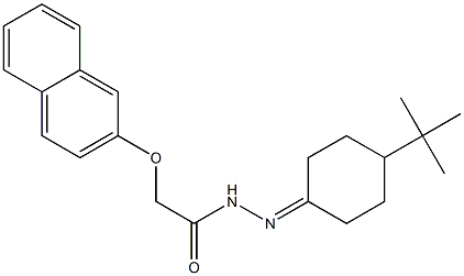 N'-(4-(tert-butyl)cyclohexylidene)-2-(naphthalen-2-yloxy)acetohydrazide Struktur