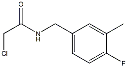 2-chloro-N-[(4-fluoro-3-methylphenyl)methyl]acetamide Struktur