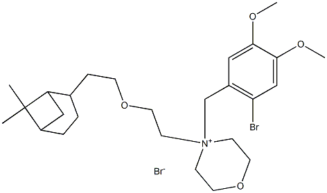  化學(xué)構(gòu)造式