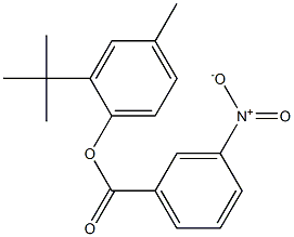 2-(tert-butyl)-4-methylphenyl 3-nitrobenzoate Struktur