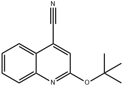 Cinchoninonitrile,  2-tert-butoxy-  (4CI) Struktur