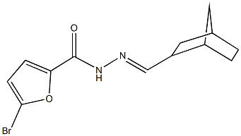 N'-(bicyclo[2.2.1]hept-2-ylmethylene)-5-bromo-2-furohydrazide Struktur