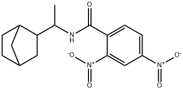 N-(1-bicyclo[2.2.1]hept-2-ylethyl)-2,4-dinitrobenzamide Struktur