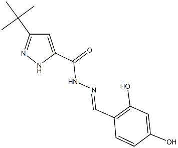 3-tert-butyl-N'-(2,4-dihydroxybenzylidene)-1H-pyrazole-5-carbohydrazide Struktur