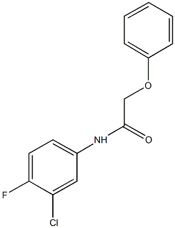 N-(3-chloro-4-fluorophenyl)-2-phenoxyacetamide Struktur