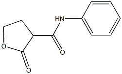 2-oxo-N-phenyltetrahydro-3-furancarboxamide Struktur