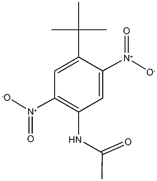 N-{4-tert-butyl-2,5-bisnitrophenyl}acetamide Struktur