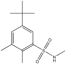 5-tert-butyl-N,2,3-trimethylbenzenesulfonamide Struktur