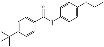 4-tert-butyl-N-(4-ethoxyphenyl)benzamide Struktur