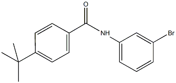 N-(3-bromophenyl)-4-tert-butylbenzamide Struktur