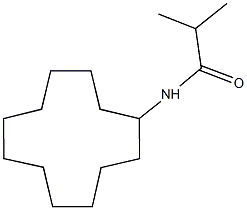 N-cyclododecyl-2-methylpropanamide Struktur