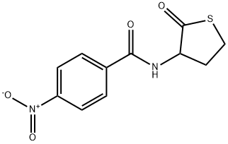 4-nitro-N-(2-oxotetrahydro-3-thienyl)benzamide Struktur