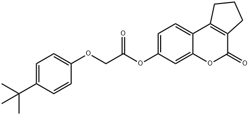 4-oxo-1,2,3,4-tetrahydrocyclopenta[c]chromen-7-yl (4-tert-butylphenoxy)acetate Struktur