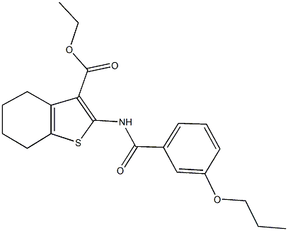 ethyl 2-[(3-propoxybenzoyl)amino]-4,5,6,7-tetrahydro-1-benzothiophene-3-carboxylate Struktur