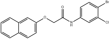 N-(4-bromo-3-chlorophenyl)-2-(2-naphthyloxy)acetamide Struktur