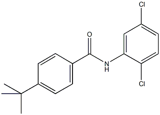 4-tert-butyl-N-(2,5-dichlorophenyl)benzamide Struktur