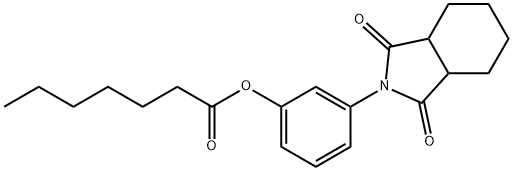 3-(1,3-dioxooctahydro-2H-isoindol-2-yl)phenyl heptanoate Struktur