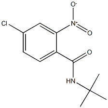 N-(tert-butyl)-4-chloro-2-nitrobenzamide Struktur