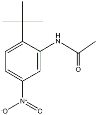 N-{2-tert-butyl-5-nitrophenyl}acetamide Struktur