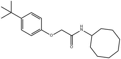 2-(4-tert-butylphenoxy)-N-cyclooctylacetamide Struktur