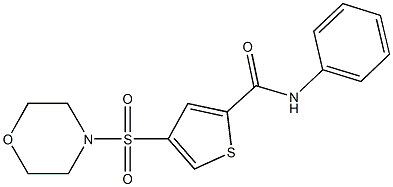 4-(4-morpholinylsulfonyl)-N-phenyl-2-thiophenecarboxamide Struktur