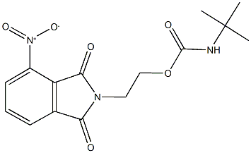 2-{4-nitro-1,3-dioxo-1,3-dihydro-2H-isoindol-2-yl}ethyl tert-butylcarbamate Struktur