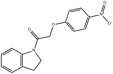 1-({4-nitrophenoxy}acetyl)indoline Struktur