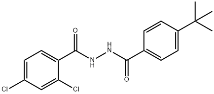 N'-(4-tert-butylbenzoyl)-2,4-dichlorobenzohydrazide Struktur