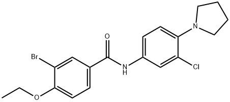 3-bromo-N-[3-chloro-4-(1-pyrrolidinyl)phenyl]-4-ethoxybenzamide Struktur