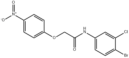 N-(4-bromo-3-chlorophenyl)-2-{4-nitrophenoxy}acetamide Struktur