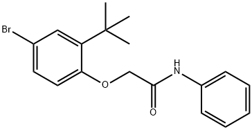 2-(4-bromo-2-tert-butylphenoxy)-N-phenylacetamide Struktur