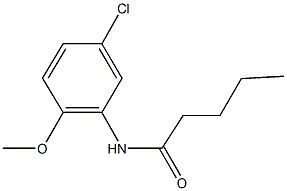 N-(5-chloro-2-methoxyphenyl)pentanamide Struktur