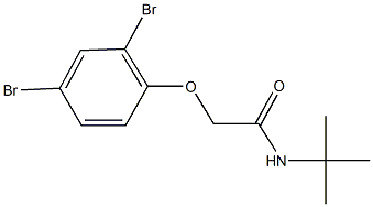 N-(tert-butyl)-2-(2,4-dibromophenoxy)acetamide Struktur