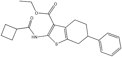 ethyl 2-[(cyclobutylcarbonyl)amino]-6-phenyl-4,5,6,7-tetrahydro-1-benzothiophene-3-carboxylate Struktur