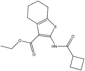 ethyl 2-[(cyclobutylcarbonyl)amino]-4,5,6,7-tetrahydro-1-benzothiophene-3-carboxylate Struktur